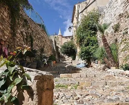 Giens Proche Plage, Vue Mer, Parking - Lesclesdenicole דירה
